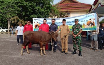 Hewan kurban yang disumbangkan ke masyarakat. Foto: Rizki Ramadhani.