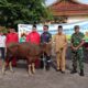 Hewan kurban yang disumbangkan ke masyarakat. Foto: Rizki Ramadhani.