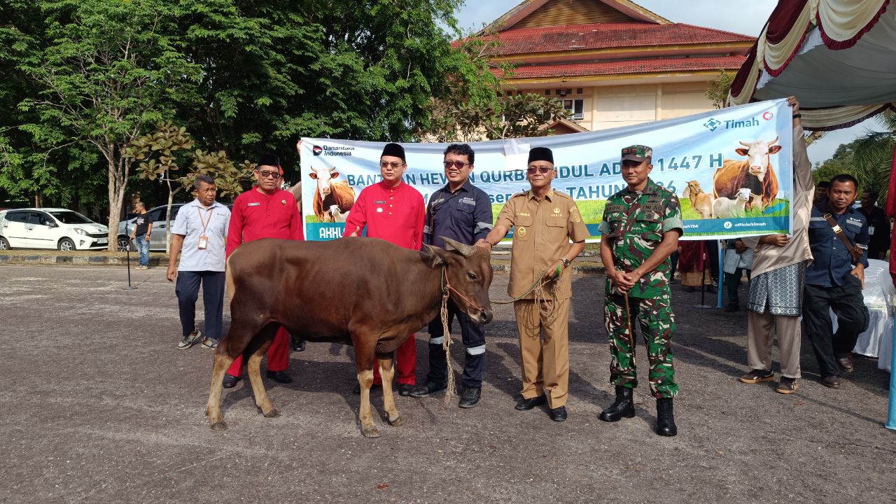 Hewan kurban yang disumbangkan ke masyarakat. Foto: Rizki Ramadhani.