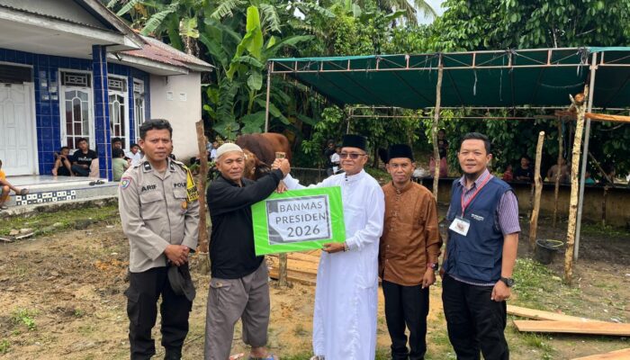 Yus Derahman Serahkan Sapi Kurban Presiden Prabowo ke Warga Air Lintang