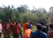 Tim SAR Gabungan sisir hutan dan sungai buton cari keberadaan Kamaludin. Foto: Istimewa.