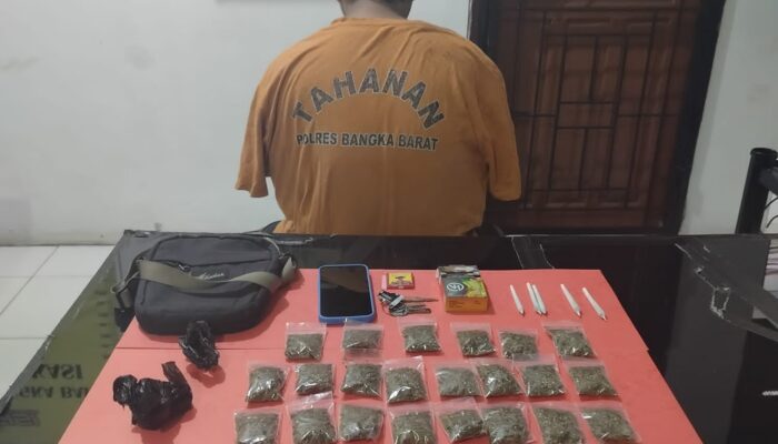 Tim Hantu Tangkap Pengedar Ganja di Mentok