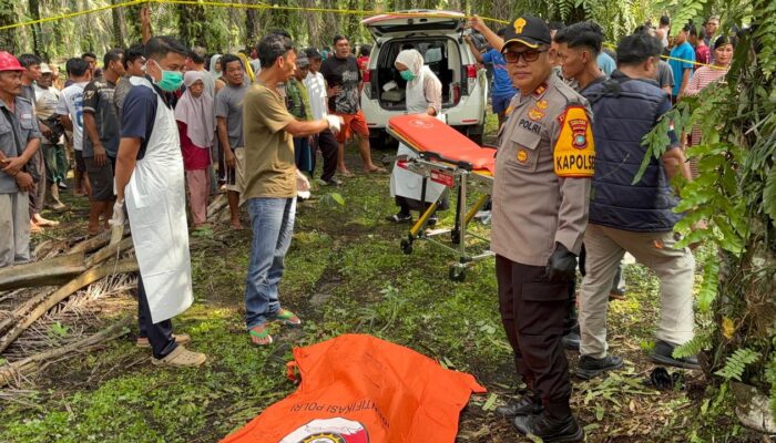 Pria Asal Garut Ditemukan Tewas di Sawit Simpang Bulin, Polisi Dalami Penyebab Kematian