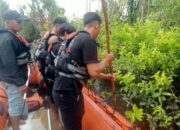 Hari Keempat pencarian Kamaluddin. Foto: Istimewa.