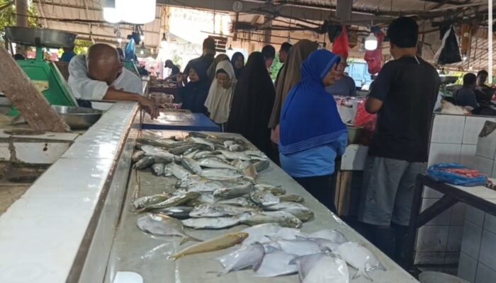 Pedagang Pasar Mentok Keluhkan Penjualan Ikan Anjlok