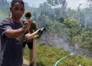 Warga memprotes keberadaan tambang di Parittiga. Foto: Istimewa.