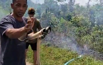 Warga memprotes keberadaan tambang di Parittiga. Foto: Istimewa.
