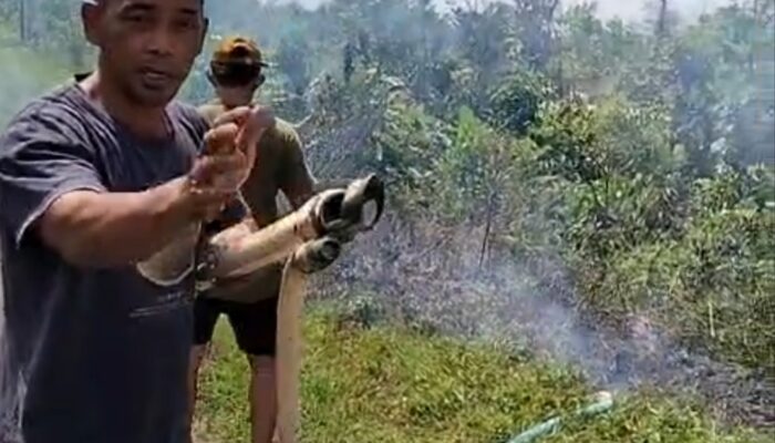 Warga Bongkar Tambang Timah Ilegal di Jalan Lingkar Parit Empat