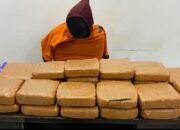 Pengedar ganja diamankan Ditresnarkoba Polda Babel. Foto: Istimewa.