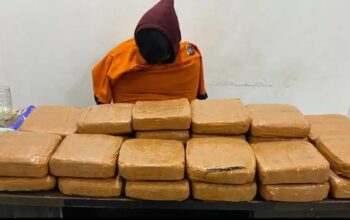 Pengedar ganja diamankan Ditresnarkoba Polda Babel. Foto: Istimewa.