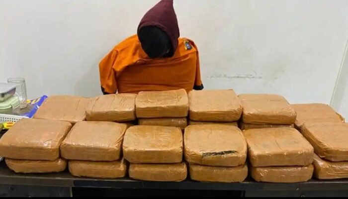Ditresnarkoba Polda Babel Gagalkan Peredaran 21,6 Kilogram Ganja