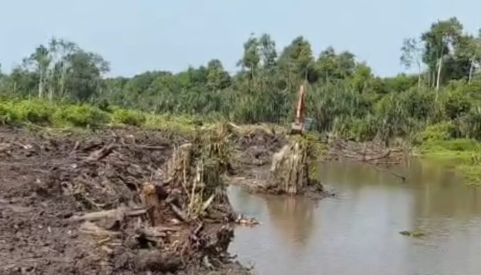 Warga Khawatir Ekosistem Sungai Buton Rusak Dampak Proyek Sawit 120 Hektare