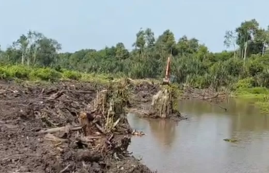 Lahan sawit di Sungai Buton menuai polemik. Foto: Istimewa.