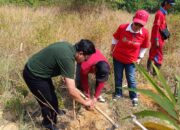 Penanaman pohon di Tahura Menumbing. Foto: Rizki Ramadhani.