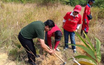 Penanaman pohon di Tahura Menumbing. Foto: Rizki Ramadhani.