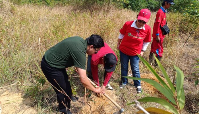 Tanam Pohon di Tahura Menumbing, Elvi Diana Gaungkan Gerakan Merawat Bumi