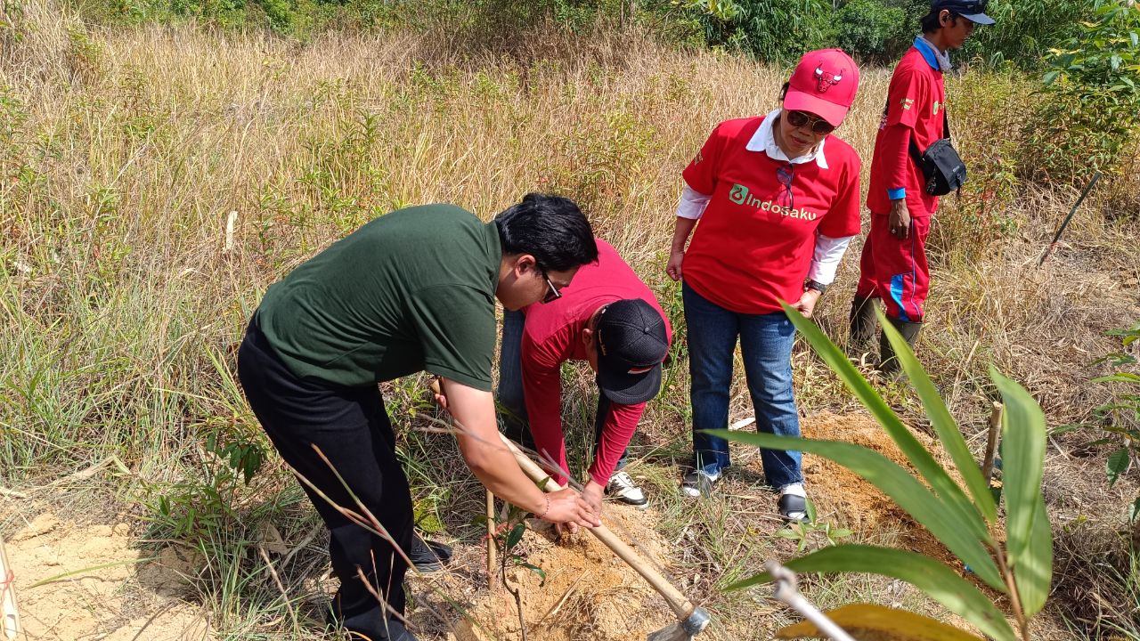 Penanaman pohon di Tahura Menumbing. Foto: Rizki Ramadhani.