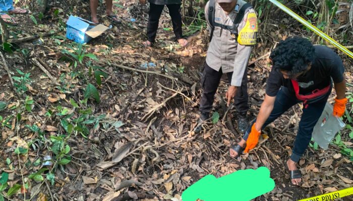 Polres Babar Selidiki Dugaan Tengkorak Manusia di Jebus