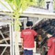 Ternak ayam petelur di Rutan Mentok. Foto: Istimewa.