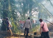 4,2 Hektare Lahan Kelekak Tempilang Terbakar
