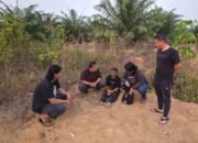 Polda Babel bekuk terduga pelaku pembunuhan di Kebun Sawit. Foto: Istimewa.