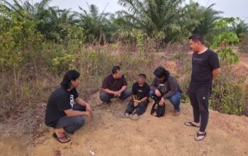 Polda Babel bekuk terduga pelaku pembunuhan di Kebun Sawit. Foto: Istimewa.
