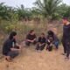 Polda Babel bekuk terduga pelaku pembunuhan di Kebun Sawit. Foto: Istimewa.