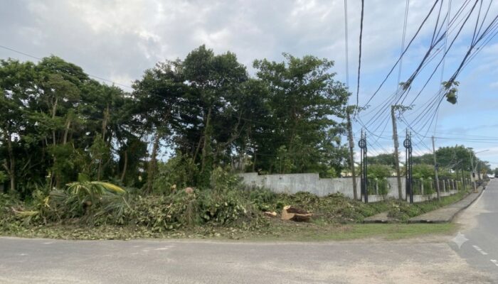 Elvi Diana Inisiasi Gerakan Bersih Babar, Gandeng DLH Tata Lahan Kosong dan Hutan