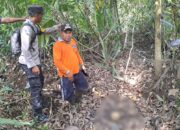 Penemuan benda diduga tengkorak manusia. Foto: Istimewa.