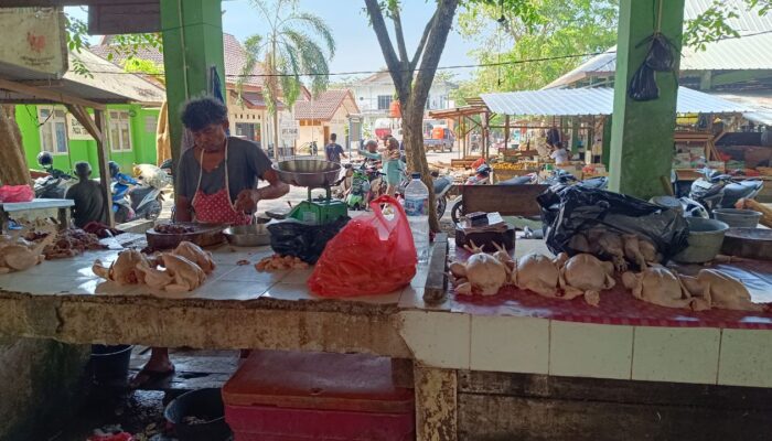 Harga Ayam di Pasar Mentok Tembus Rp50 Ribu, Pedagang Keluhkan Sepi Pembeli