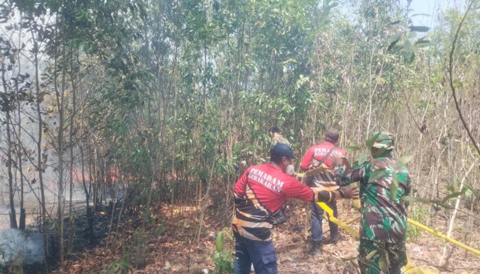 Kodim Babar Bantu Padamkan Kebakaran Lahan di Mentok
