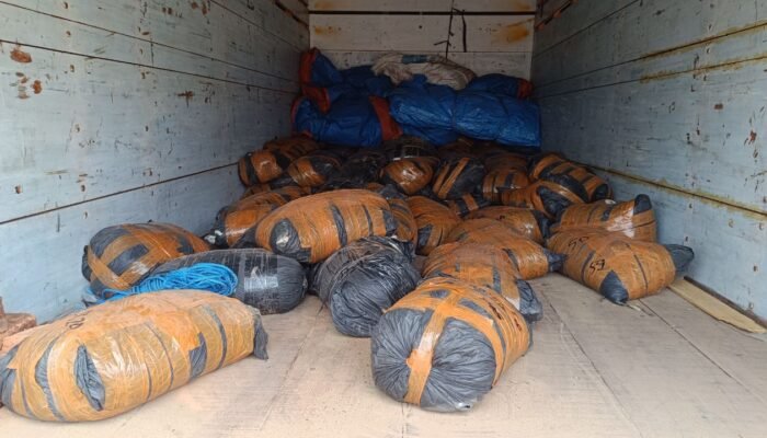 Polisi Gagalkan Pengiriman 4,9 Ton LTJ di Pelabuhan Tanjung Kalian
