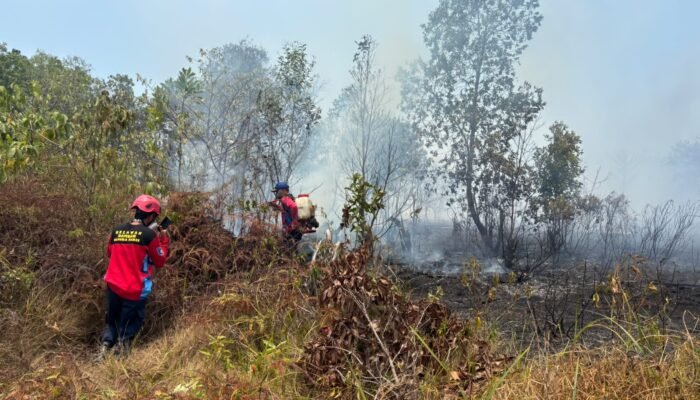 Karhutla Babel Meluas, Belitung Timur Catat Kejadian Terbanyak 