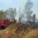 Karhutla di Mentok. Foto: Istimewa.