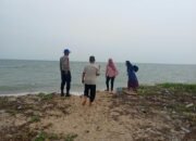Kemunculan buaya di Mentok. Foto Istimewa.
