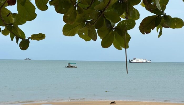 Buaya Muncul di Pantai Baru Mentok, Elvi Diana Soroti Dugaan Aktivitas PIP