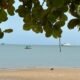Kemunculan buaya di Mentok. Foto Istimewa.