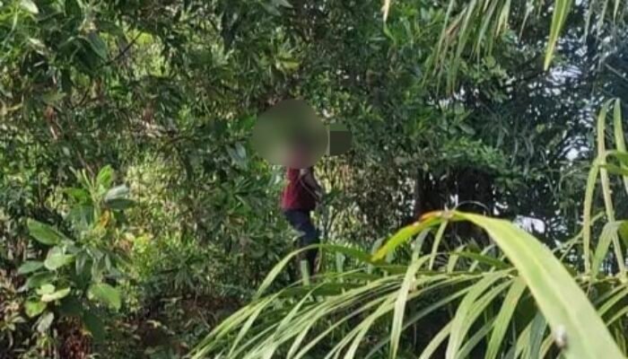 Warga Babar Temukan Jasad Pria di Kebun Sawit, Diduga Gantung Diri