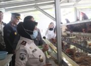 Kakanwil Ditjenpas Babel Apresiasi Program Pangan Rutan Mentok