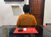 MF diamankan polisi. Foto: Istimewa.