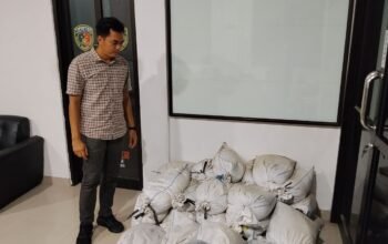 Ungkap kasus pengiriman Timah. Foto: Istimewa.