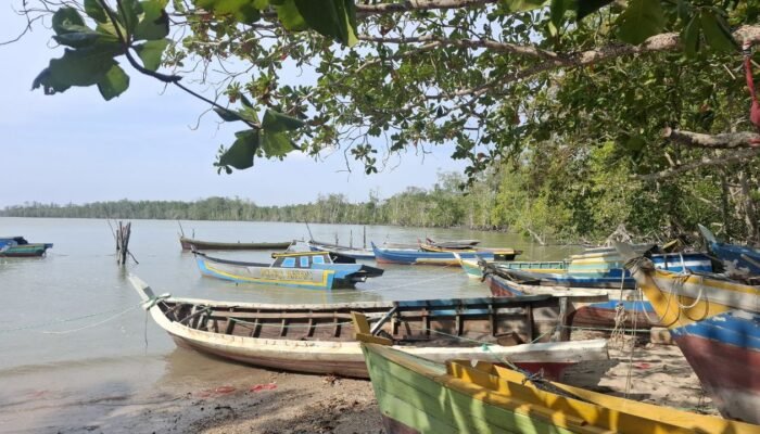 Pengelolaan Timah Babel Didorong Berbasis Legalitas dan Kelestarian Lingkungan